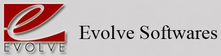 Evolve Software