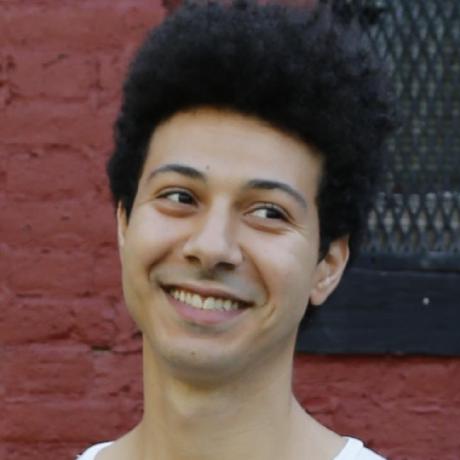 Kareem Amin