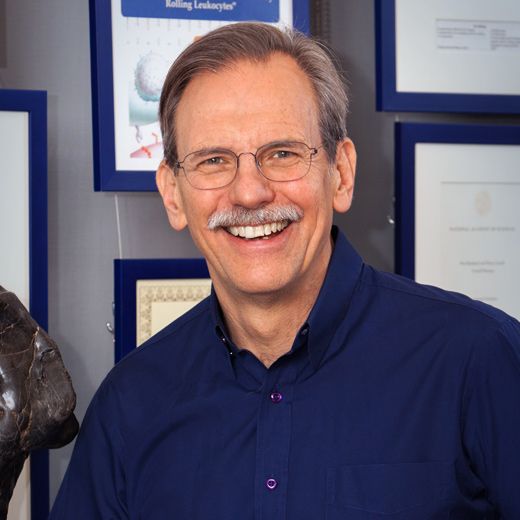 Timothy Springer