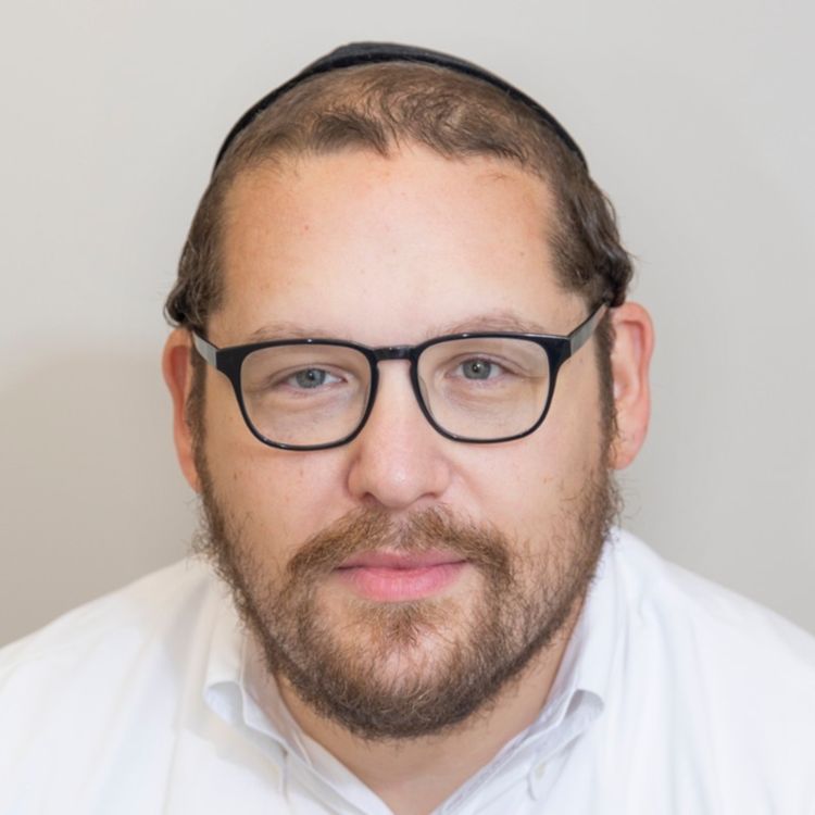 Shlomo Landau