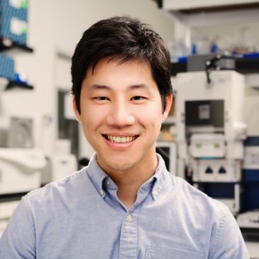David Tsao