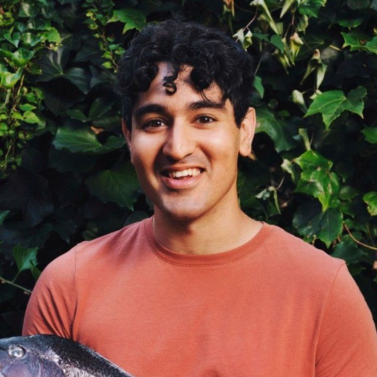 Saif Khawaja