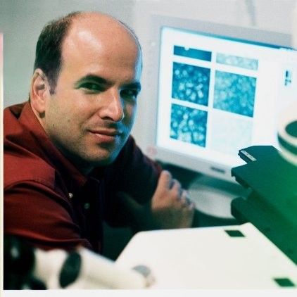 Dan Kaufman