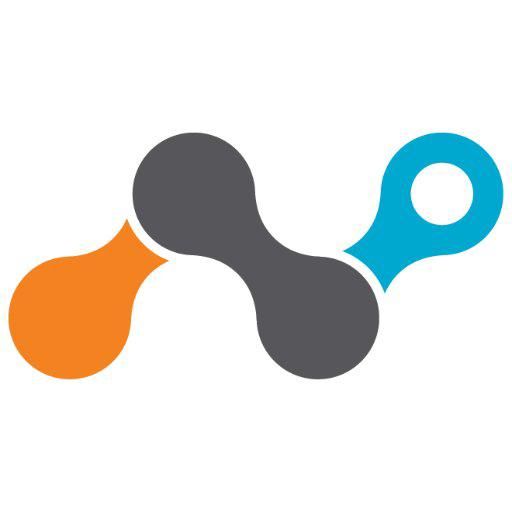 Netskope Logo for active job listings