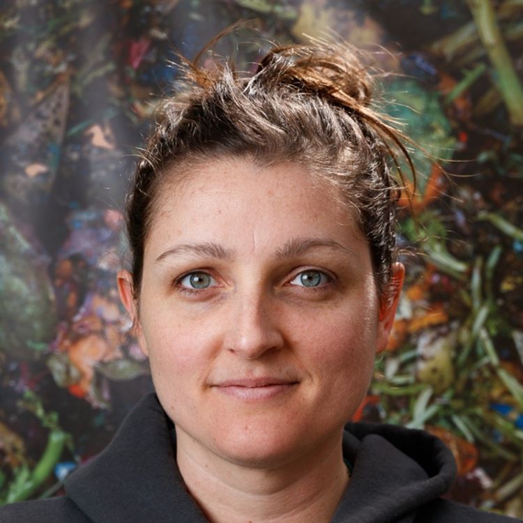 Meredith Danberg-Ficarelli