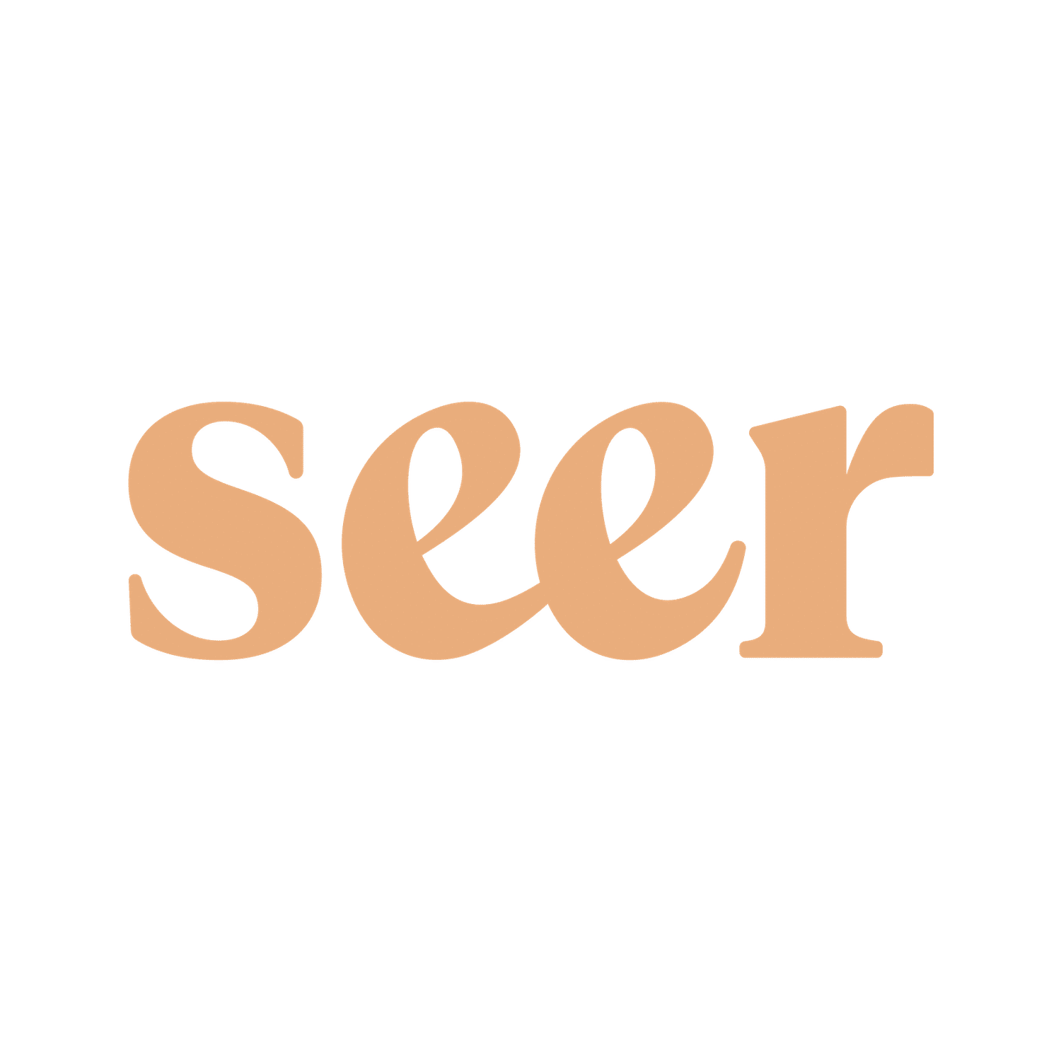 Seer Logo for active job listings