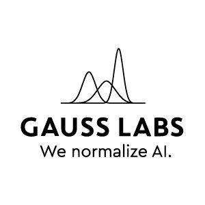 Gauss Labs Logo for active job listings