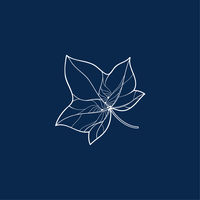 Firmenlogo